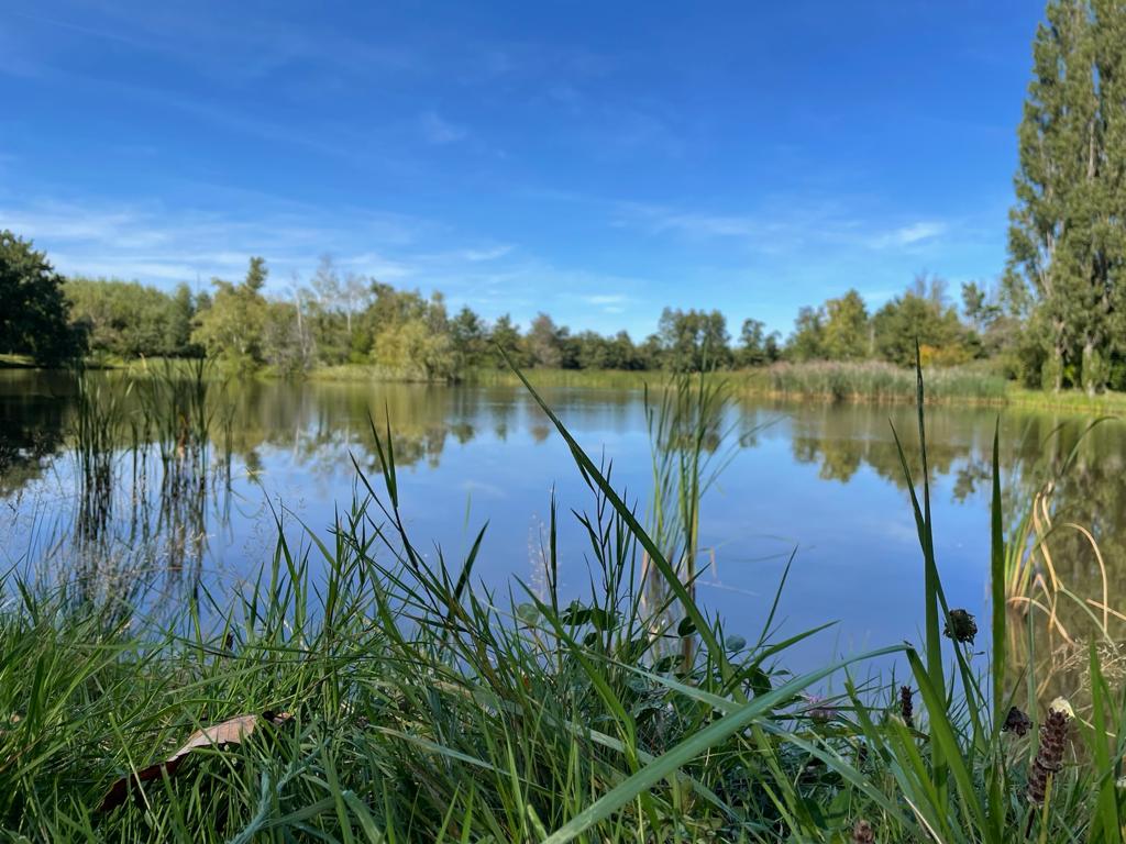 Sur les hauteurs de Vienne, 12 septembre 2021 - 28 octobre 2021