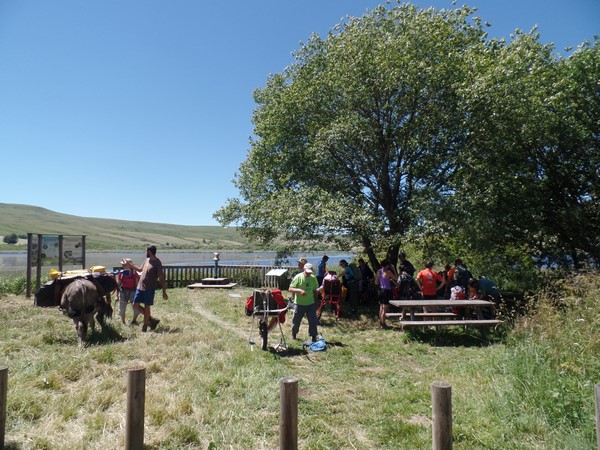 Massif du Sancy du 16 au 23 juillet - 29 juillet 2016
