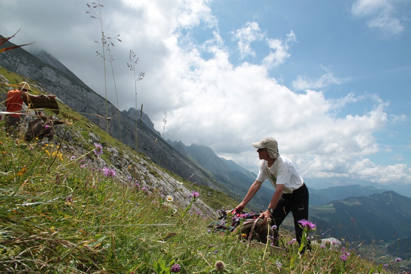 Aravis du 30 juillet au 6 août - 20 août 2011